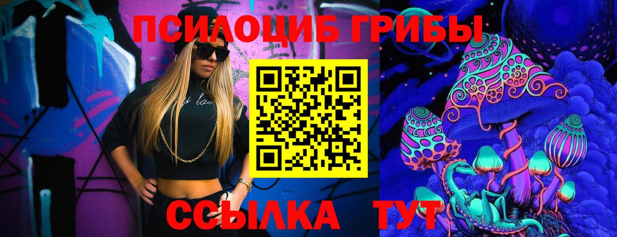 Чебоксары  Псилоцибиновые грибы Psilocybe  Галлюциногенные грибы MAGIC MUSHROOMS  Вход с VPN 